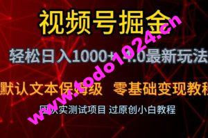 视频号掘金轻松日入1000+4.0最新保姆级玩法零基础变现教程【揭秘】