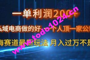 一单利润200私域电商做的好，一个人顶一家公司蓝海赛道最新玩法【揭秘】