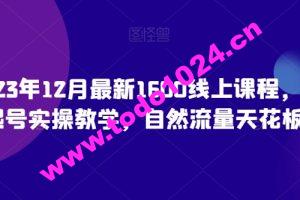 猴帝23年12月最新1600线上课程，0粉起号实操教学，自然流量天花板