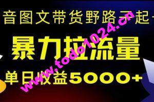 抖音图文带货暴力起号，单日收益5000+，野路子玩法，简单易上手，一部手机即可【揭秘】