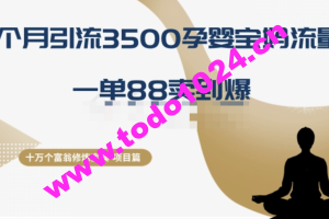 十万个富翁修炼宝典之13.2个月引流3500孕婴宝妈流量，一单88卖到爆