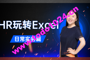 王洋《HR玩转Excel-日常实务篇》